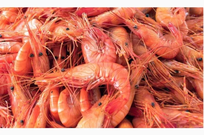 Продаем лосось замороженный и морепродукты оптом- фото № 2