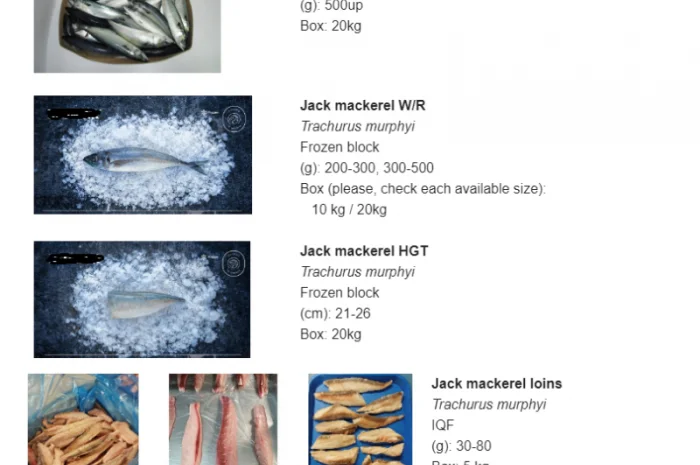 Продается оптом морская рыба: Скумбрия, Хек, Кальмар- фото № 1