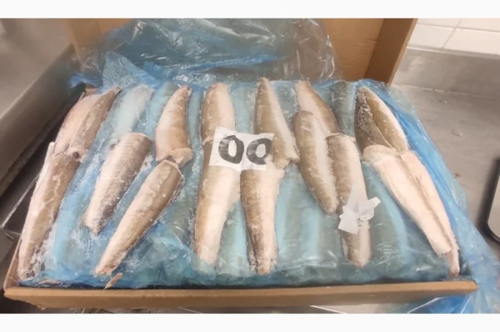 Продаем Хек мороженный тушка филе- фото № 1