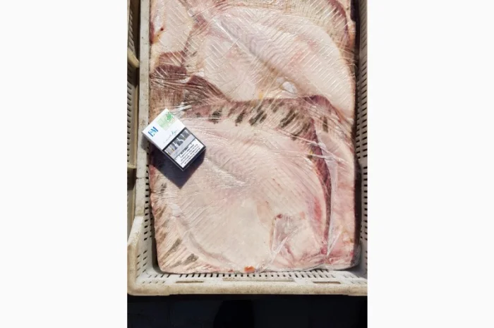 Камбала азовская (калкан), оптом- фото № 1