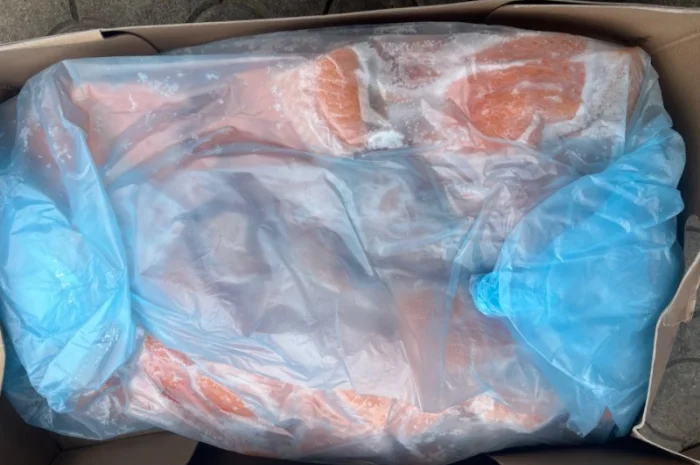 Скумбрія Pelagia 600- фото № 1