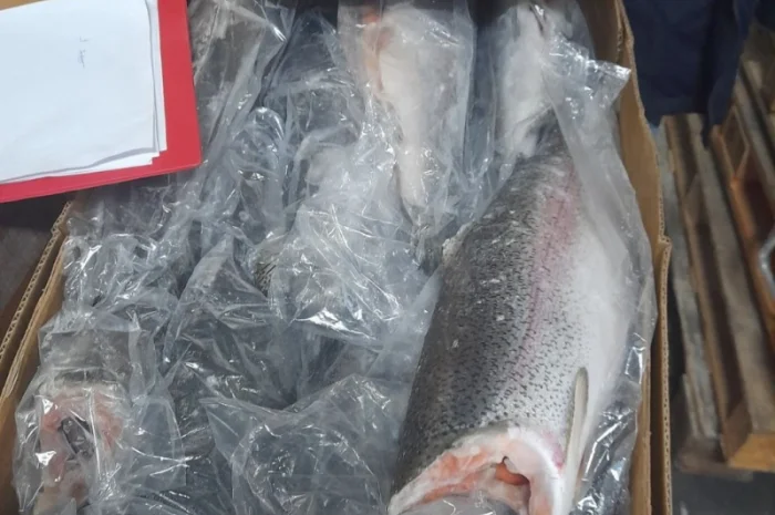 Продам Форель б/г, с/м- фото № 3