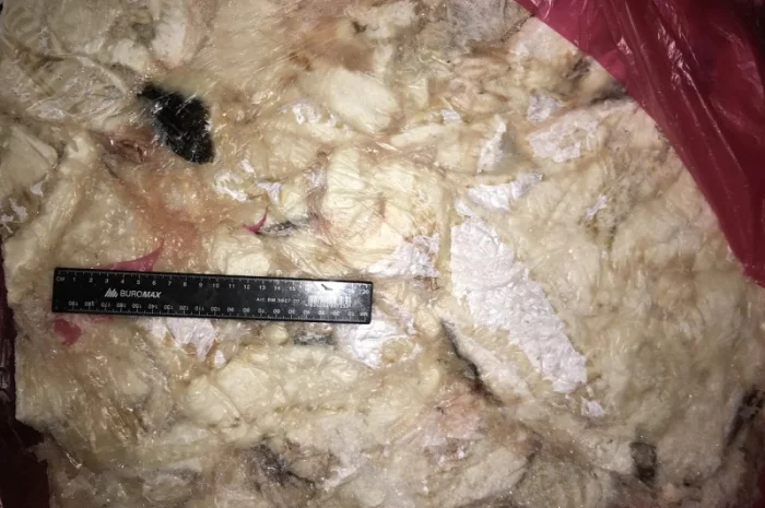 Обрезь сайды свежемороженые. Сайда обрезь- фото № 2