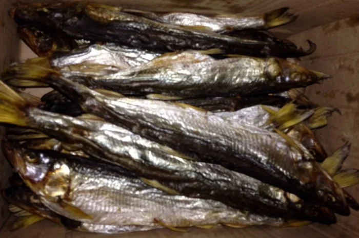 Корюшка дальневосточная- фото № 1