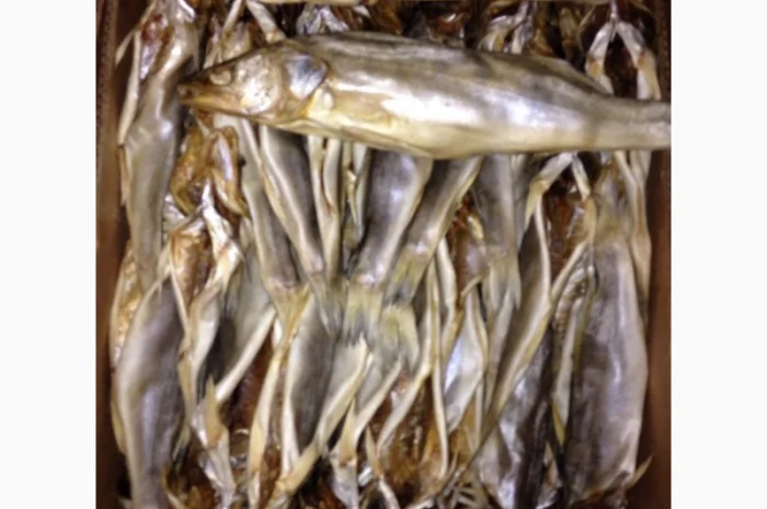 Судак вяленый- фото № 1