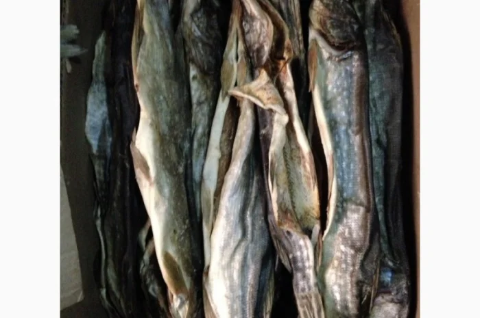 Щука вяленая- фото № 1