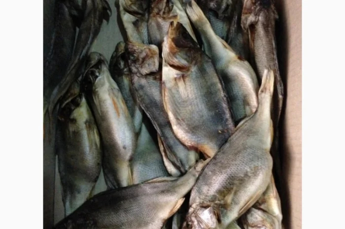 Окунь вяленый- фото № 1