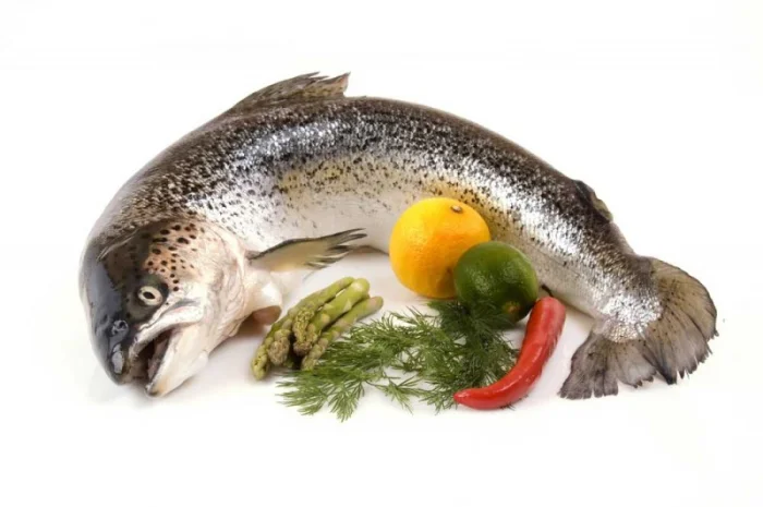 Лосось (семга) охлажденный тушка- фото № 1