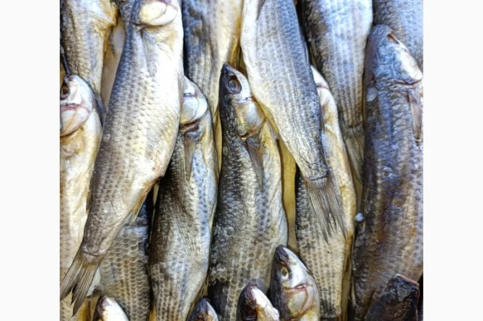 Продам вяленую икряну тарань- фото № 1