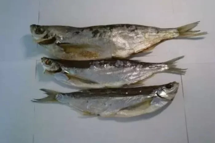 Продам чехонь- фото № 1