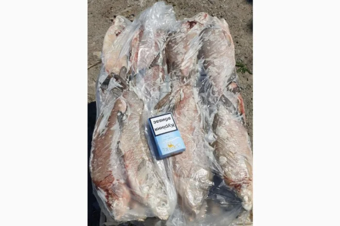 Продам свежемороженую рыбу – лещ, лещ мелкий. Опт- фото № 2