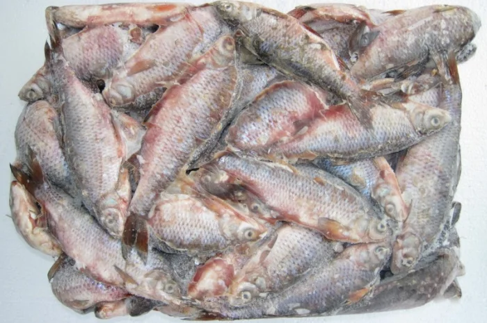Рыбная компания реализует свежемороженую рыбу оптом- фото № 1