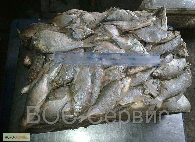 Рыбная компания реализует свежемороженую рыбу оптом- фото № 3