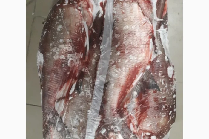 Рыбный цех реализует окунь с/м Густера, судак, лещ- фото № 1