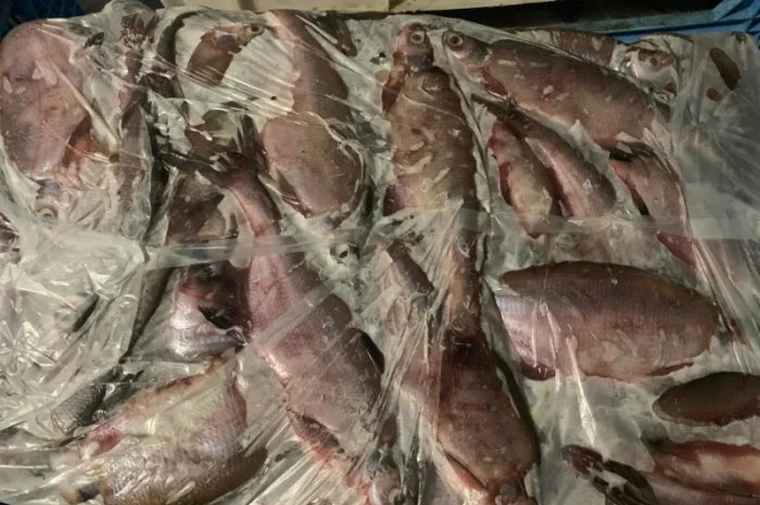 Реализуем оптом с/м лещ мелкий- фото № 1