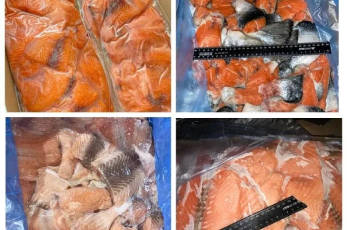 Предлагаю Обрезки рыбы Лещ. Головы, хребты, хвосты, кишки. В замороженном виде- фото № 1