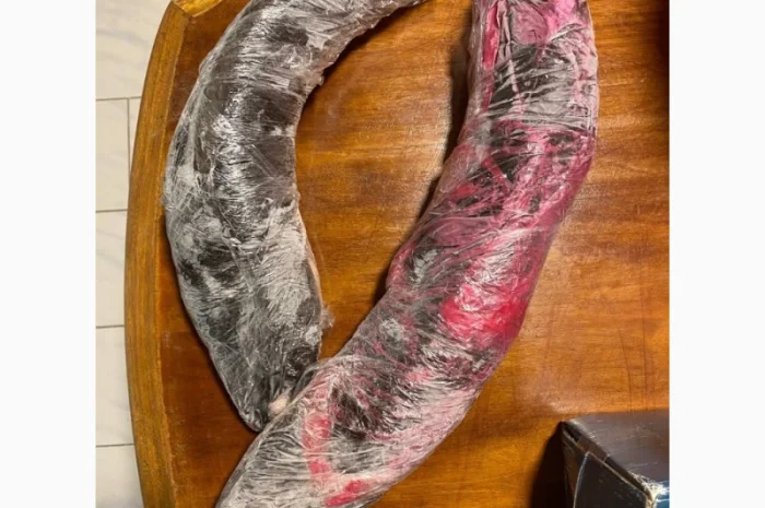 Африканський, Кларієвий сом- фото № 2