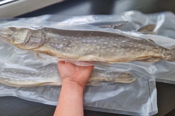 Таранка з щуки, вялена, свіжа, завакумована- фото № 1