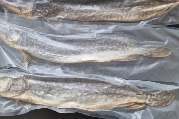 Таранка з щуки, вялена, свіжа, завакумована- фото № 2