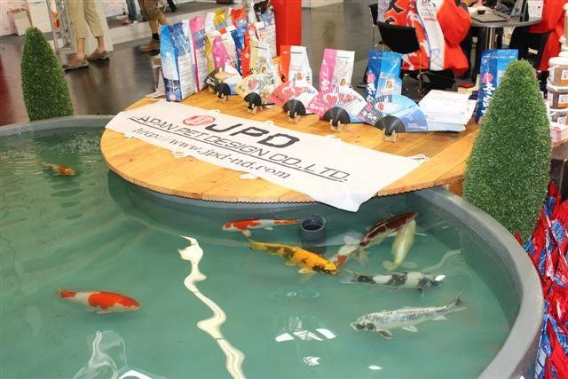 Карпы кои Украина, японский карп кои, пруд, рыбки, водные растения, нимфеи, корм для карпов кои- фото № 8