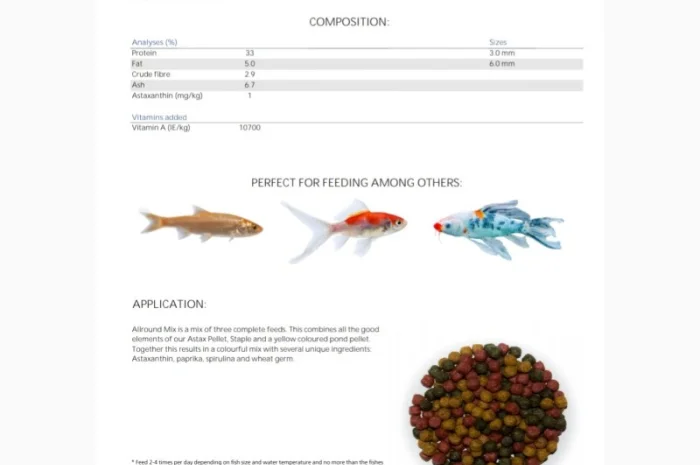 Карпы Кои для пруда - качественные японские рыбы- фото № 13