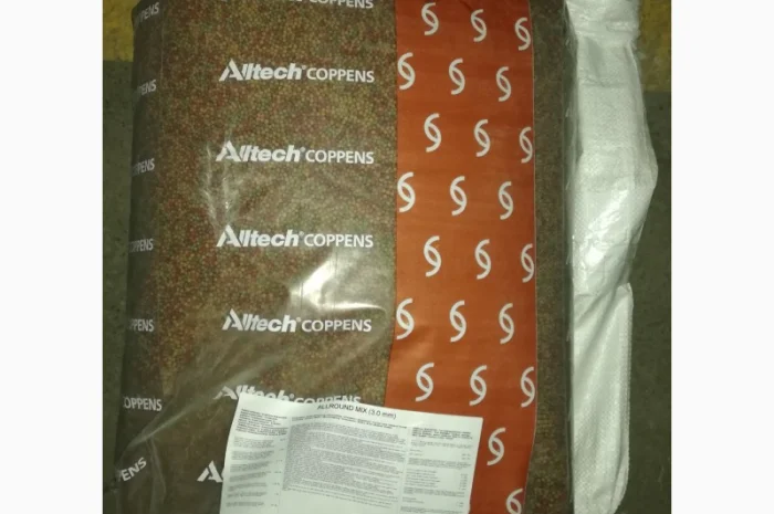 Карпы Кои для пруда - качественные японские рыбы- фото № 14