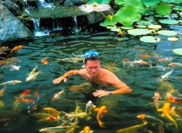 Карпы Кои Украина, рыбки для пруда, корм для кои, водные растения, пруд, аквариум, рыбоводство- фото № 4