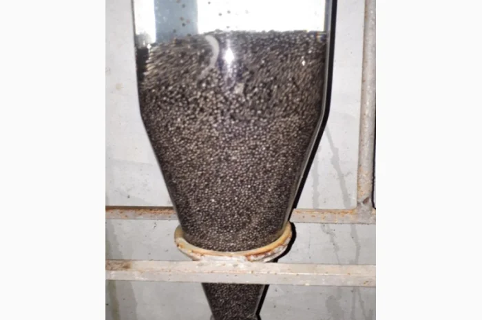 Продаж оплодотвореної ікри та мальків- фото № 2