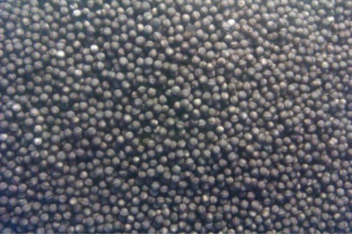 Продается малька бестера осетра- фото № 3