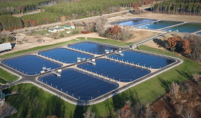 Рытье и очистка прудов для разведения рыбы- фото № 1