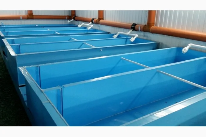 Рытье и очистка прудов для разведения рыбы- фото № 2