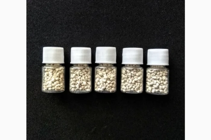 Карпа гипофиз, короповий гіпофіз- фото № 4