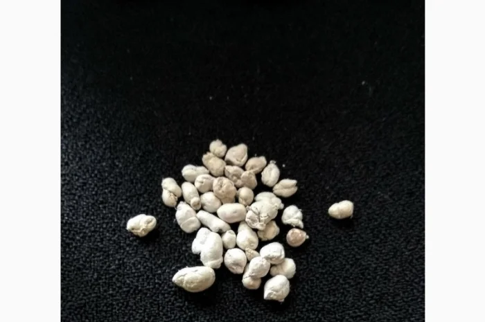 Карпа гипофиз, короповий гіпофіз- фото № 1