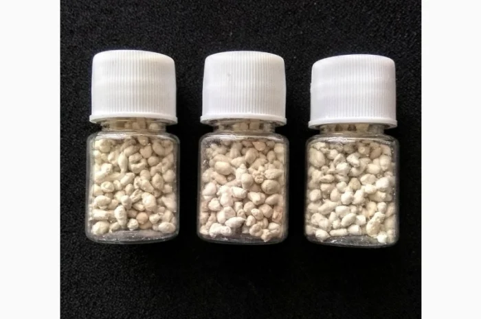 Карпа гипофиз, короповий гіпофіз- фото № 3