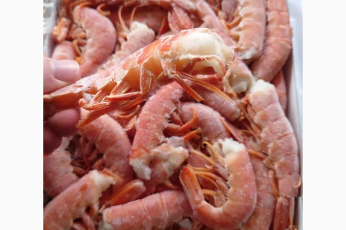 Креветка Аргентинська без голови C1- фото № 2