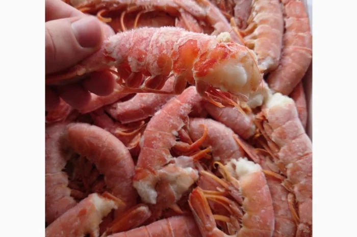 Креветка Аргентинська без голови C1- фото № 3