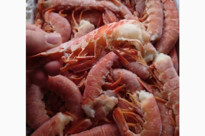 Креветка Аргентинська без голови C1- фото № 4