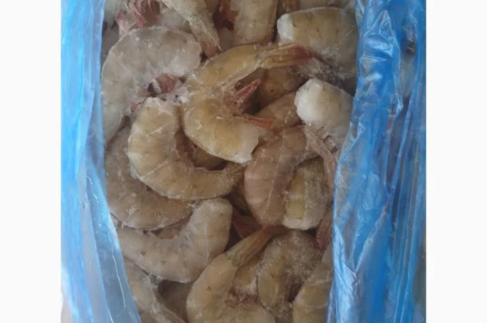 Креветка Ваннамей Еквадор- фото № 3