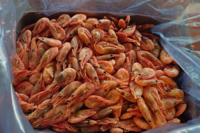Креветка 90+ Норвегія- фото № 1