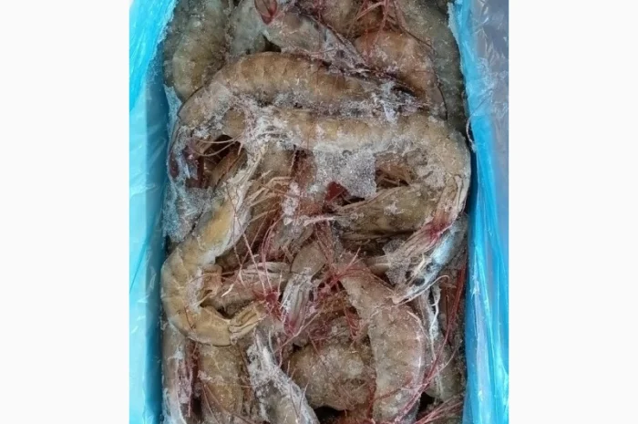 Продам креветку 50-60 Эквадор, Promarosa- фото № 1