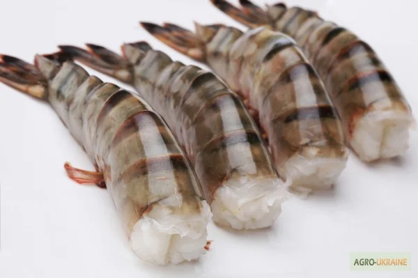 Креветка тигровая без головы 16-20- фото № 1