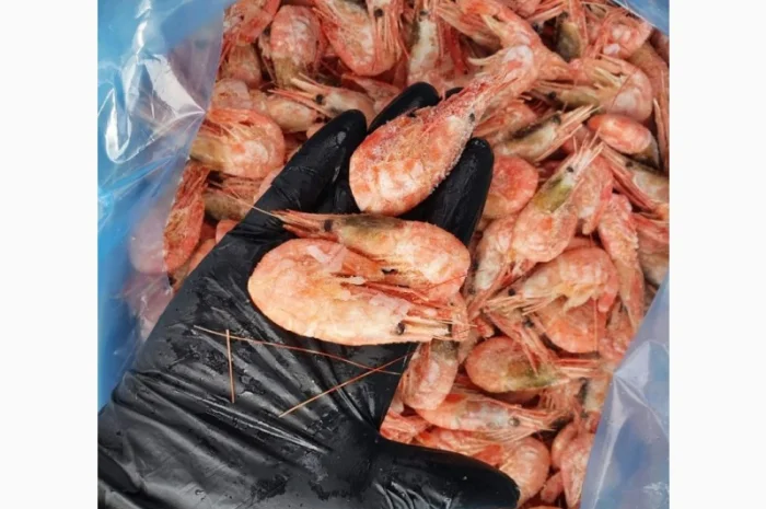Продам креветку варено-мороженную (пивную) оптом и в розницу- фото № 1