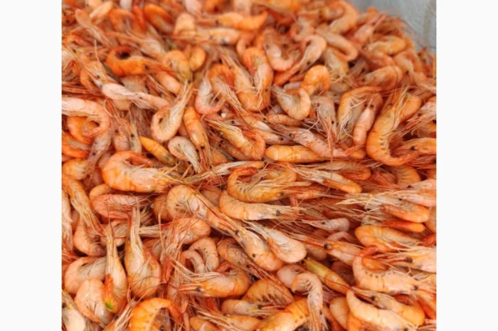 Продам черноморскую креветку- фото № 1