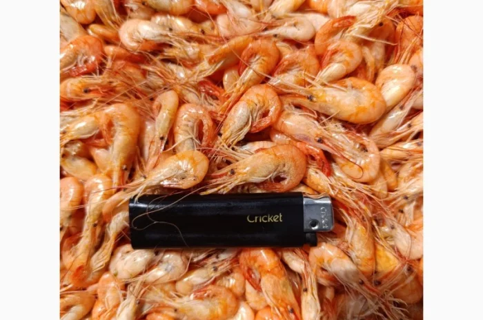 Продам черноморскую креветку- фото № 2