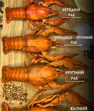 Раки живі та варені за домовленістю- фото № 6