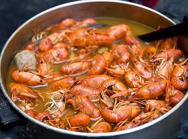 Продам раки живі та варені за домовленістю- фото № 4