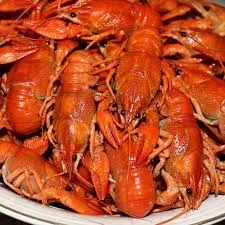 Продам раки живі та варені за домовленістю- фото № 6