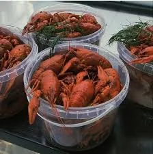 Продам живі раки- фото № 5