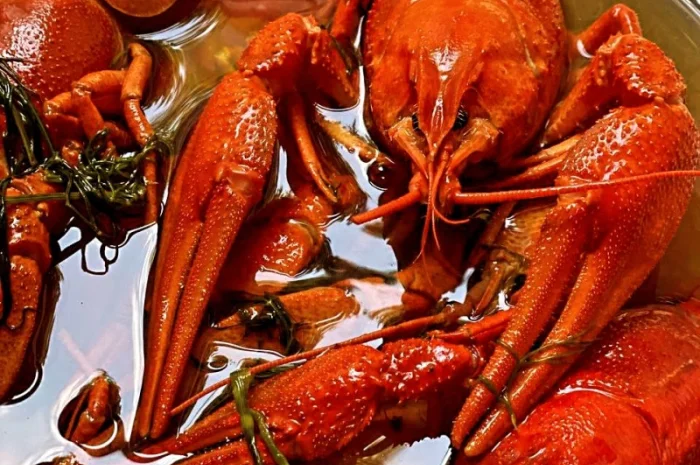 Раки живые и вареные- фото № 7