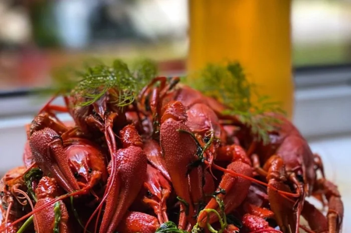 Раки живые и вареные- фото № 9